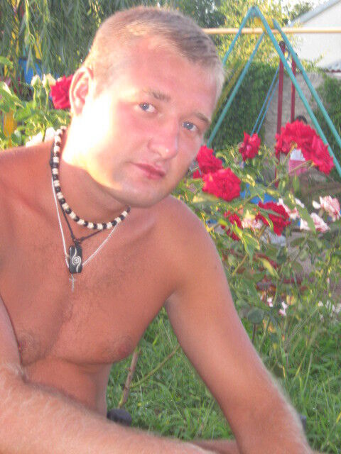  4600003  , 41 ,    