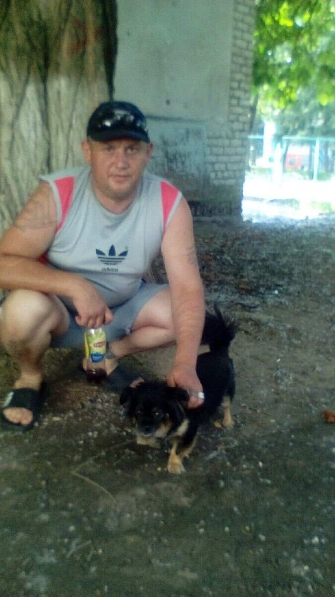 ���������� �����, ���� ������� �����, 43 ����, ������������ ��� ������, ����� � ���������