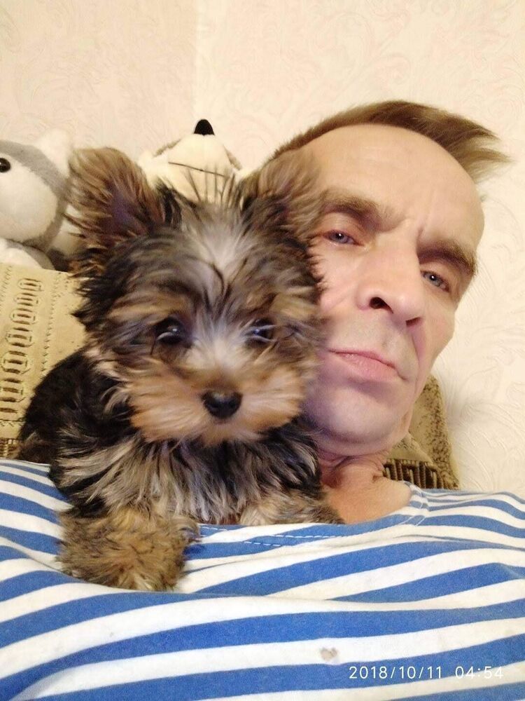 ���� 28949793 ������� ������, 56 ���, ���� ���������� � �������������