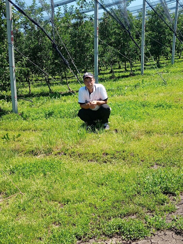 ���� 20401543 ������� �����, 38 ���, ���� ���������� � �������