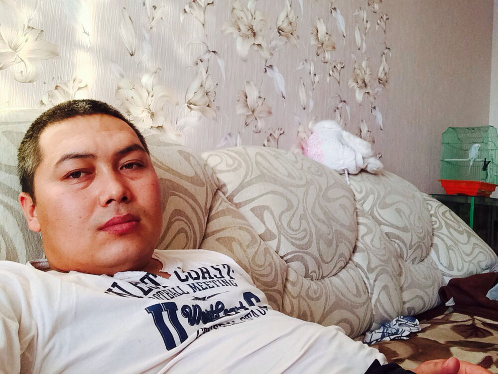 ���� 3998313 ������� �����, 44 ����, ���� ���������� � ������