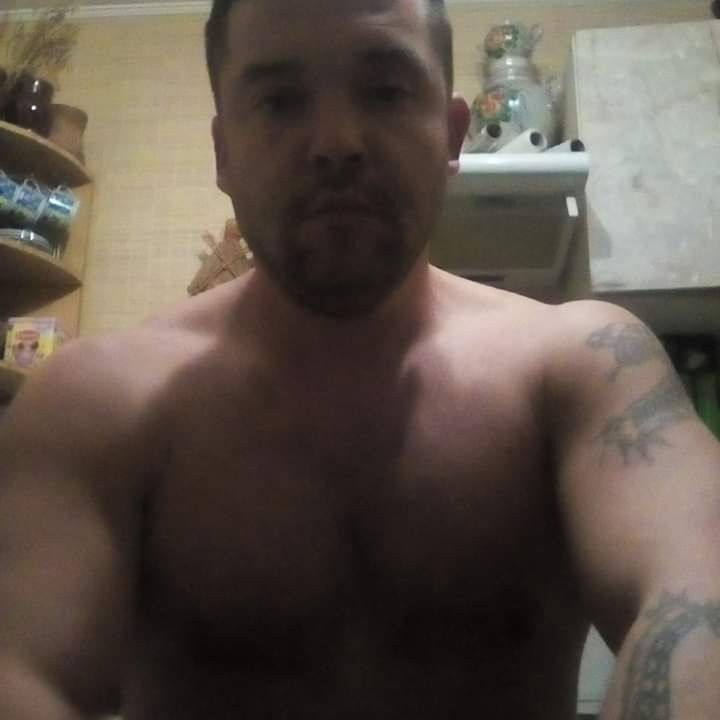  15768983  , 46 ,    
