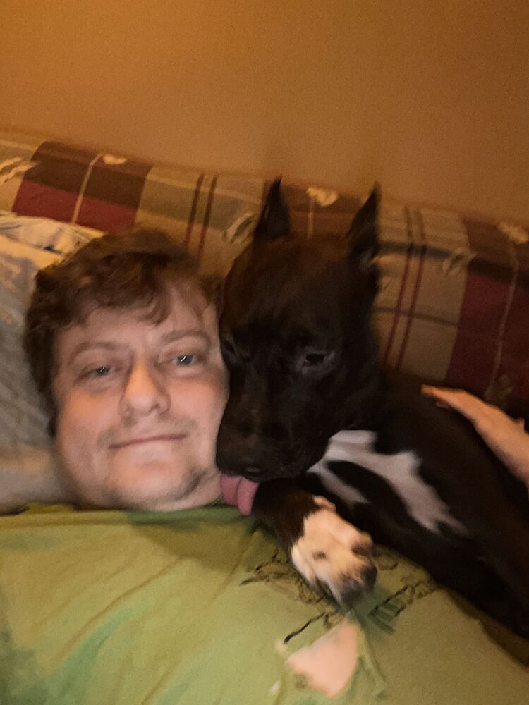 ���������� ������, ���� ������� ��������, 43 ����, ������������ ��� ������, ����� � ���������