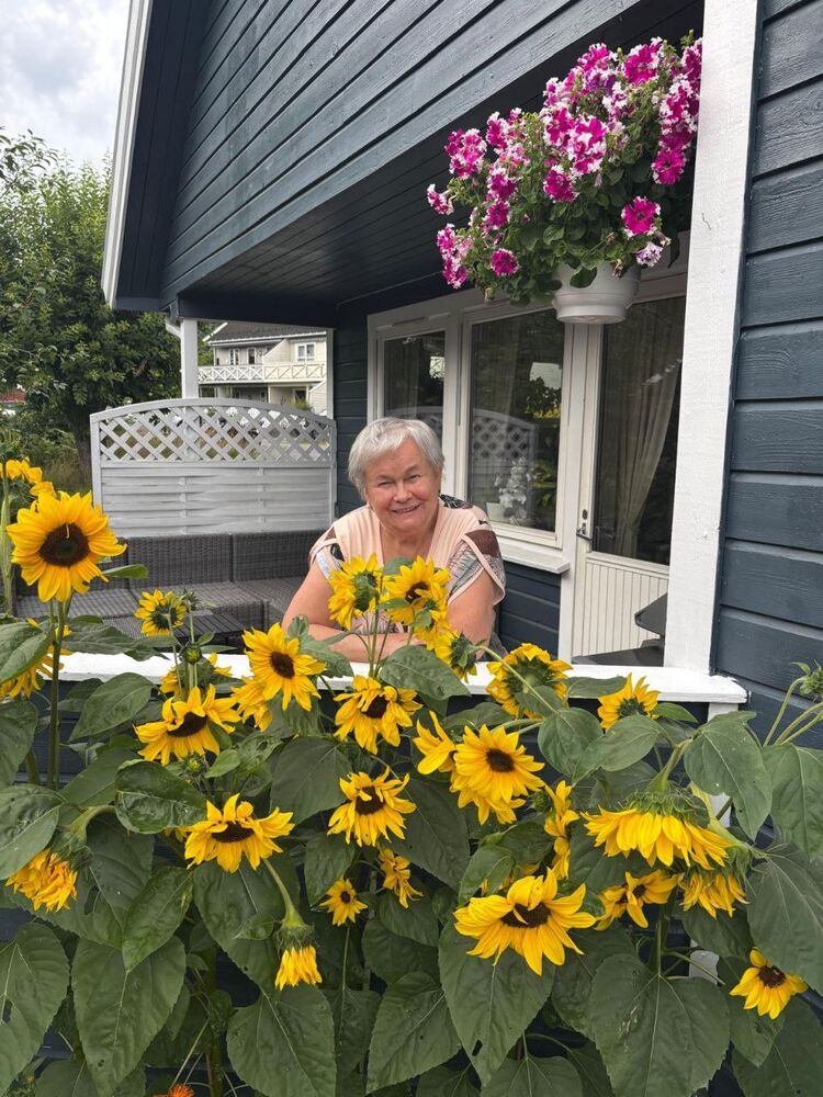  53953023  , 77 ,    -