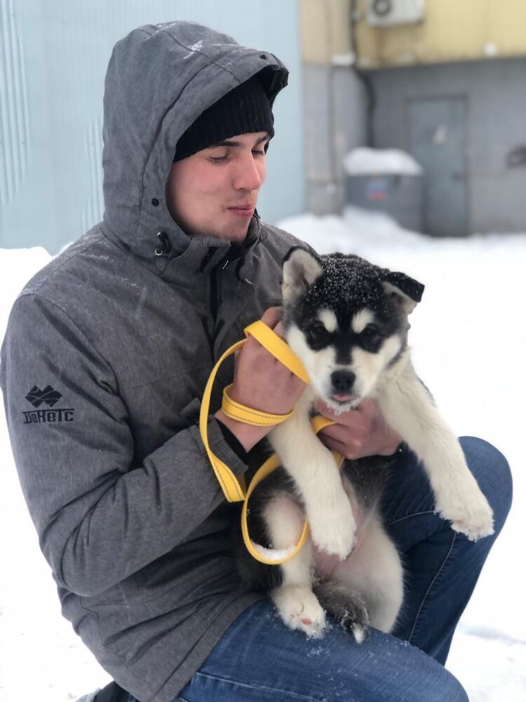 ���������� ���������, ���� ������� ���������, 28 ���, ������������ ��� ����� � ���������, c�������� ���������