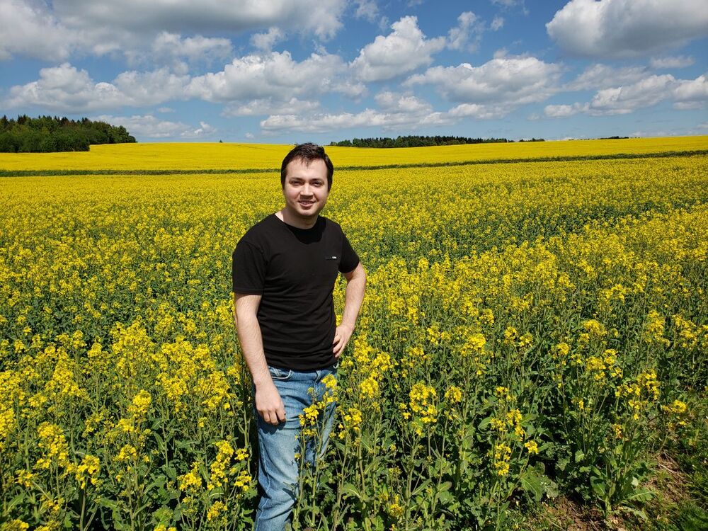 ���� 55831423 ������� ����, 29 ���, ���� ���������� � ������