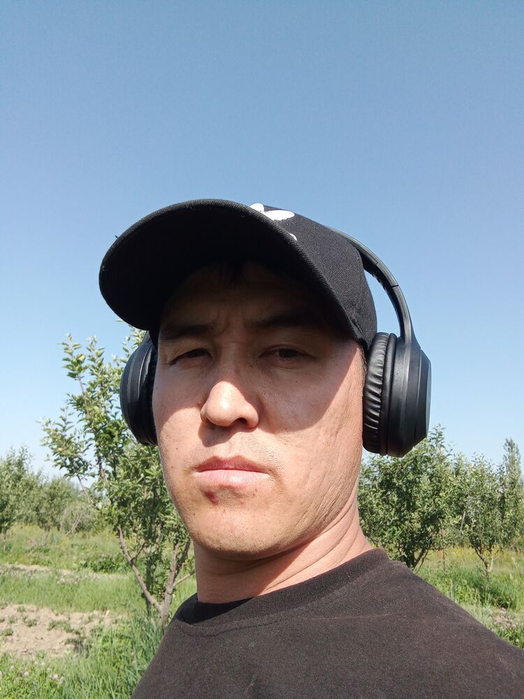 ���� 39164733 ������� Asko, 31 ���, ���� ���������� � �������