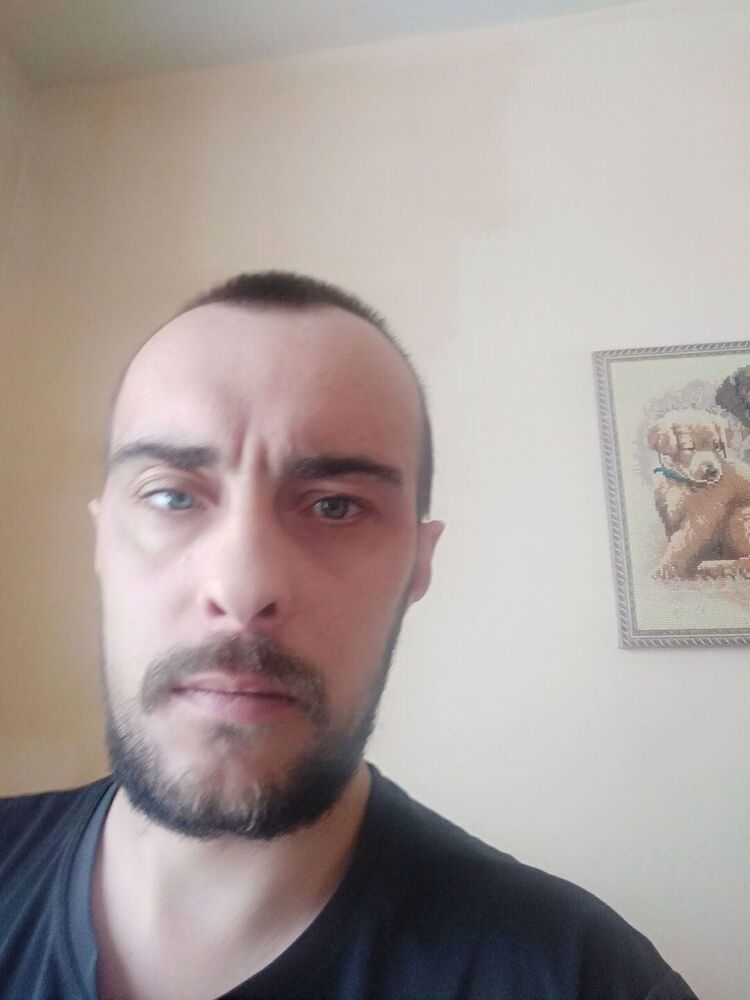  31300553  , 34 ,    