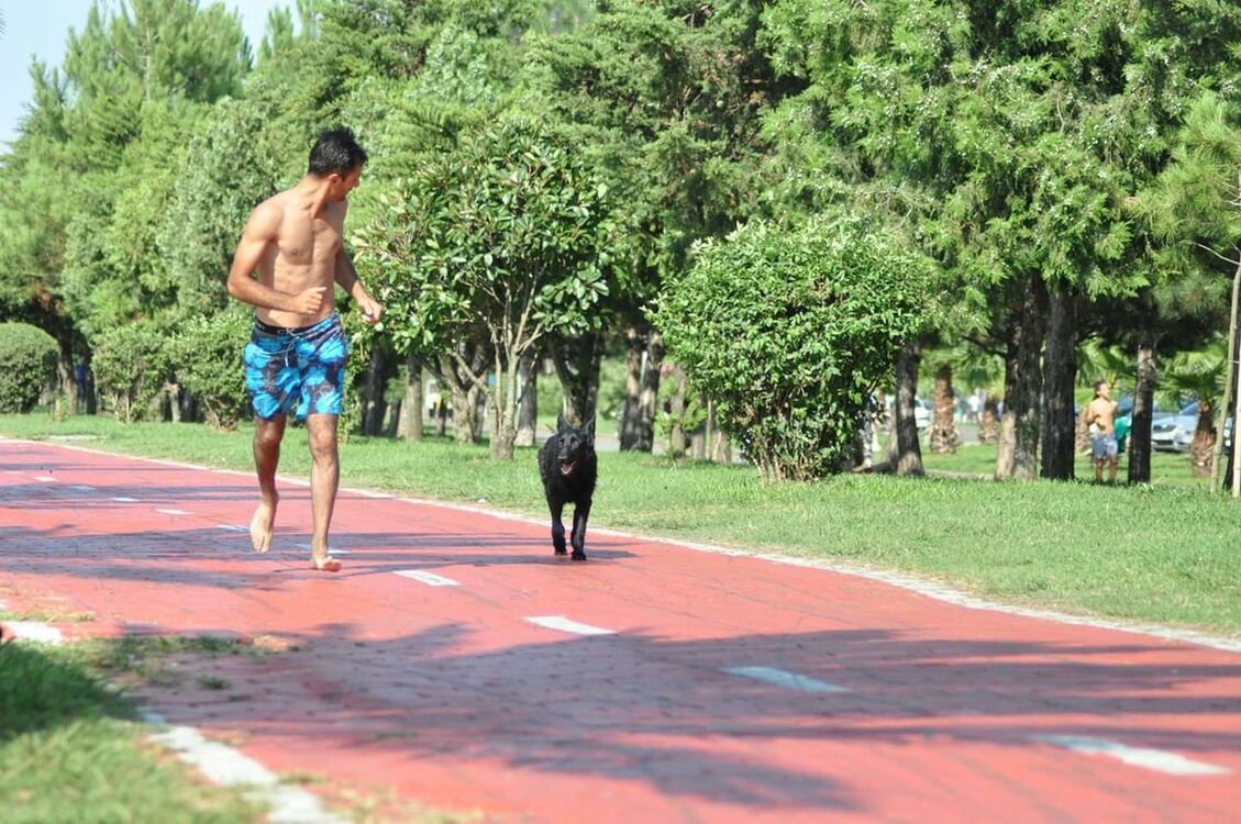  18427723  Temo, 34 ,    