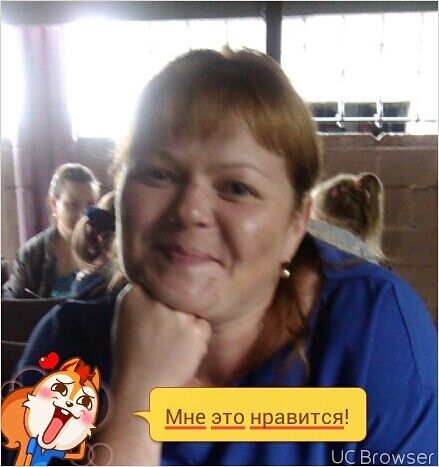  7822023  , 40 ,    