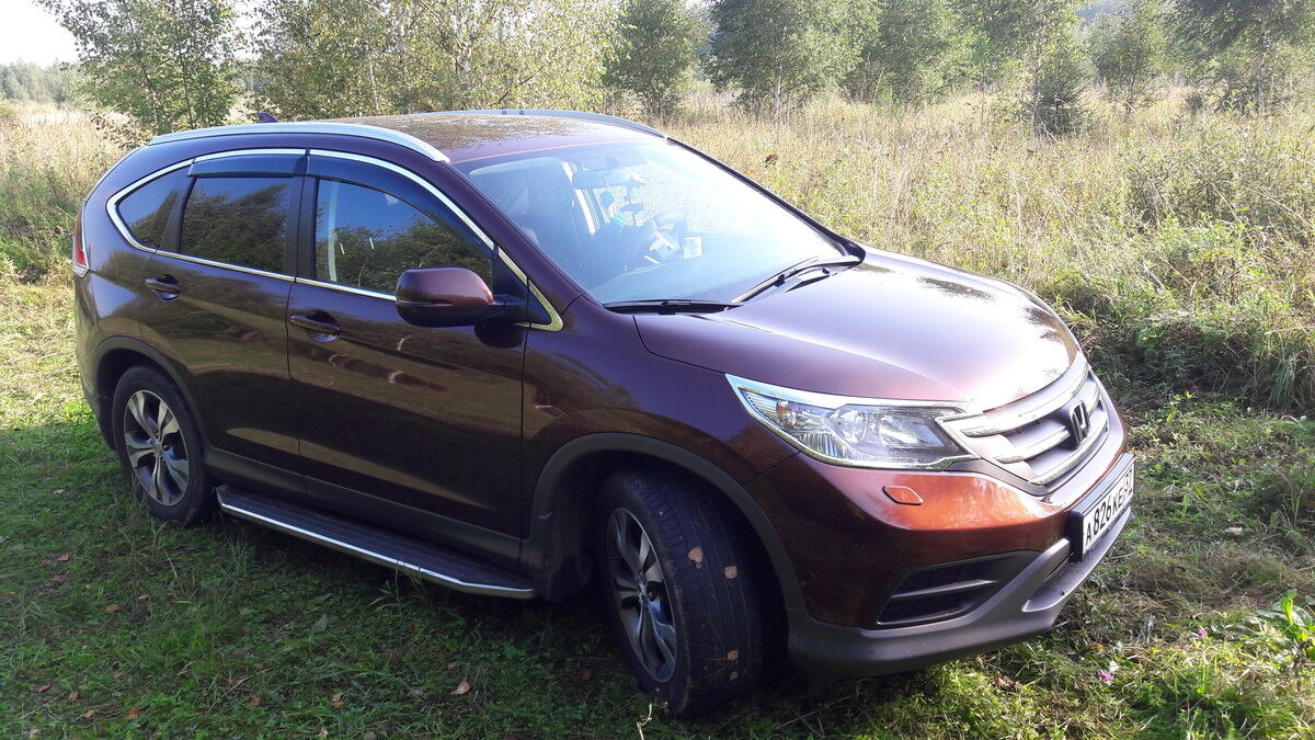 ���� 7958083 ������� �����, 52 ����, ���� ���������� � �������