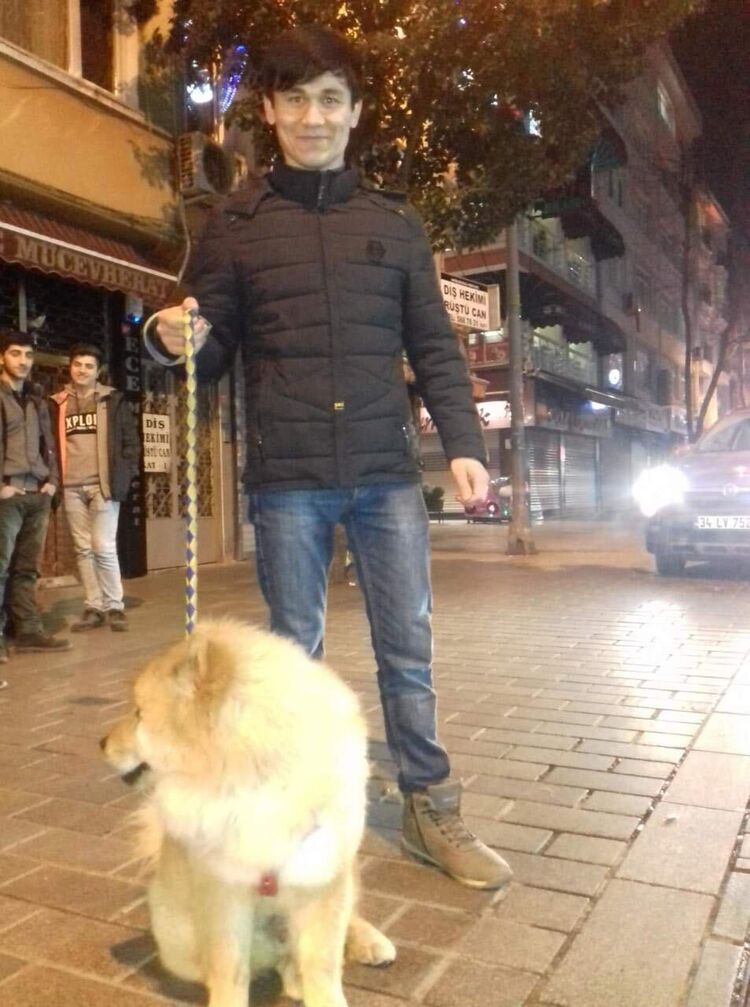 ���� 26675633 ������� ������, 29 ���, ���� ���������� � ������