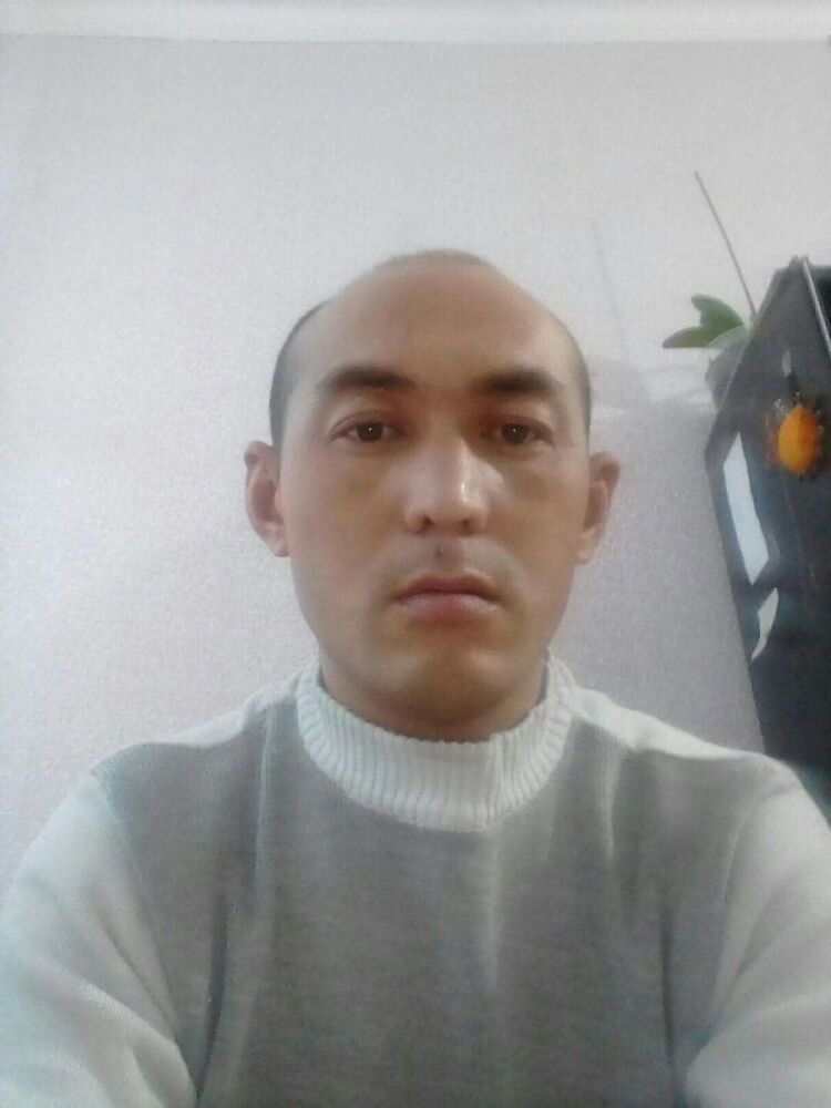 ���� 41251833 ������� �����, 40 ���, ���� ���������� � ������