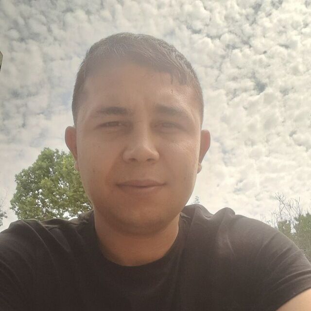 ���� 44781333 ����� ������, 24 ����, ���� ���������� � ��������