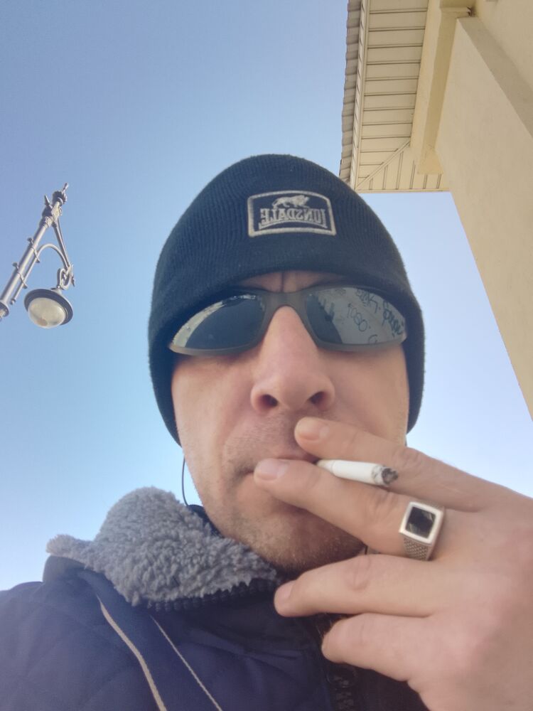  53336043  , 33 ,    
