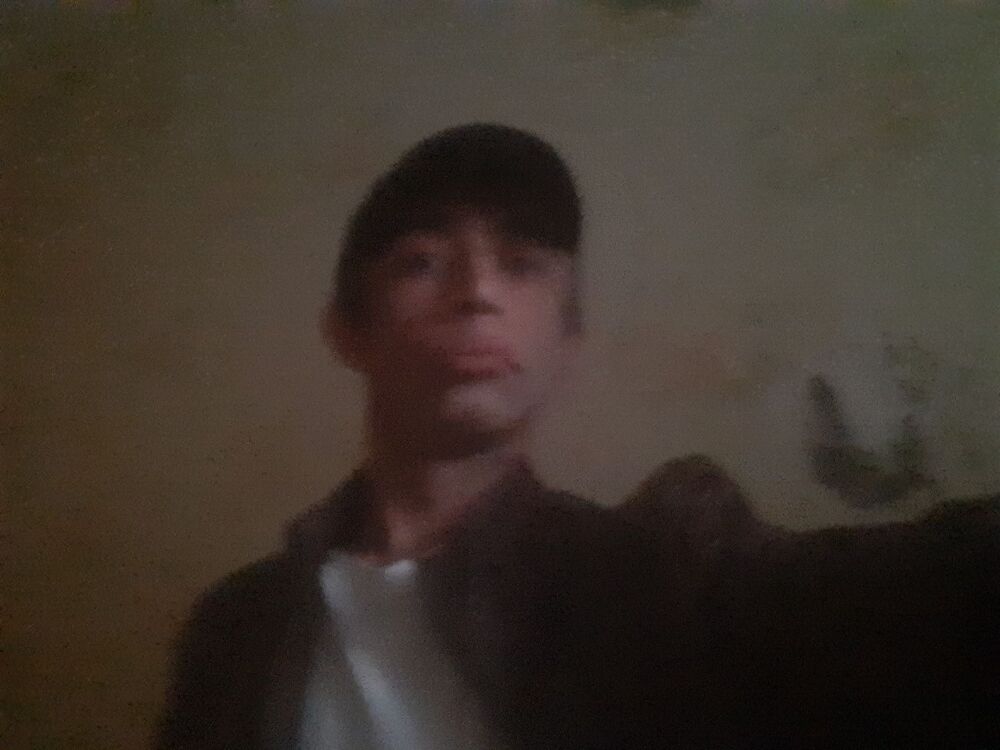  44345853  , 44 ,    