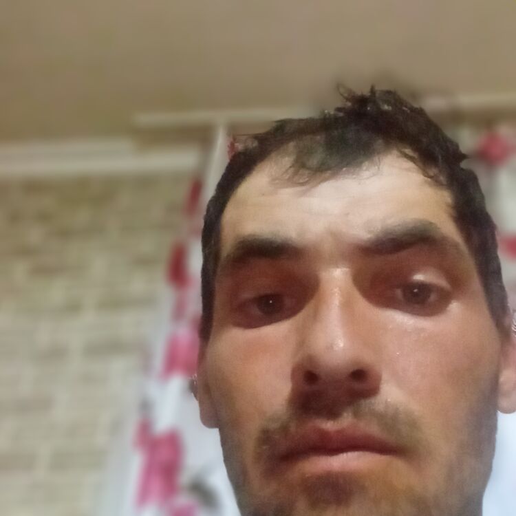  44841863  , 33 ,    