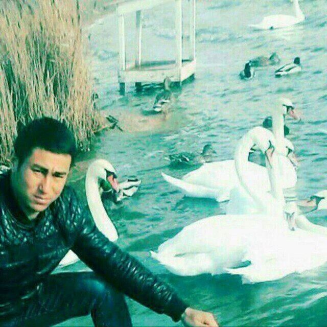 ���������� �����������, ���� ������� �����, 29 ���, ������������ ��� ������, ����� � ���������