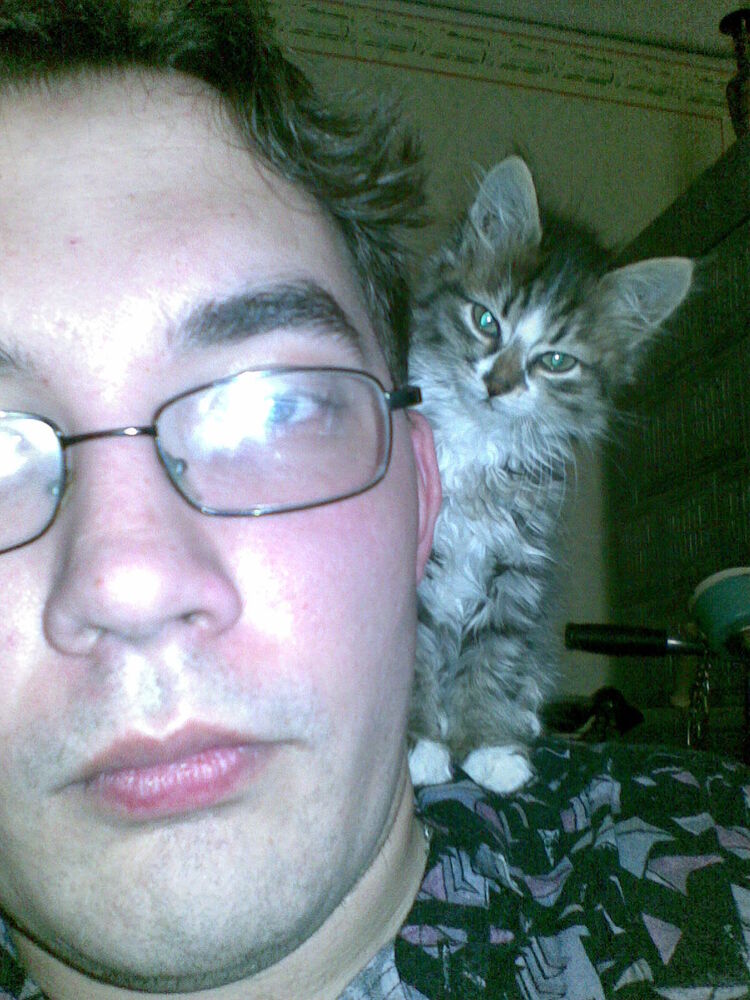 ���������� ������, ���� ������� ���������, 45 ���, ������������ ��� ������, ����� � ���������