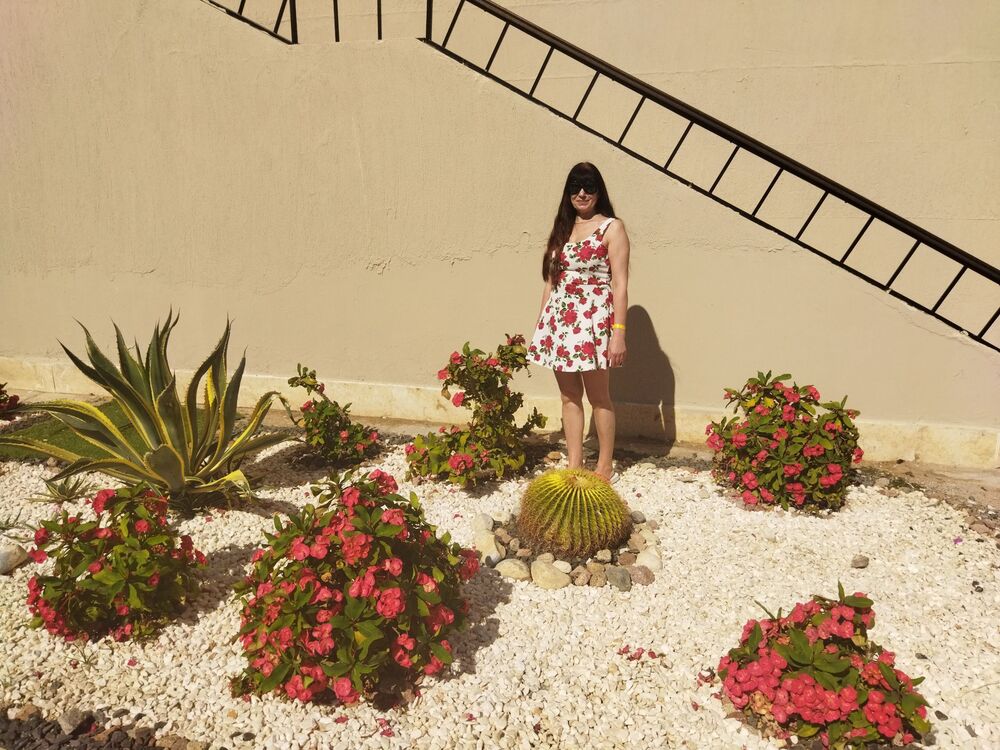 ���� 55599223 ������� ���, 58 ���, ���� ���������� � �����������