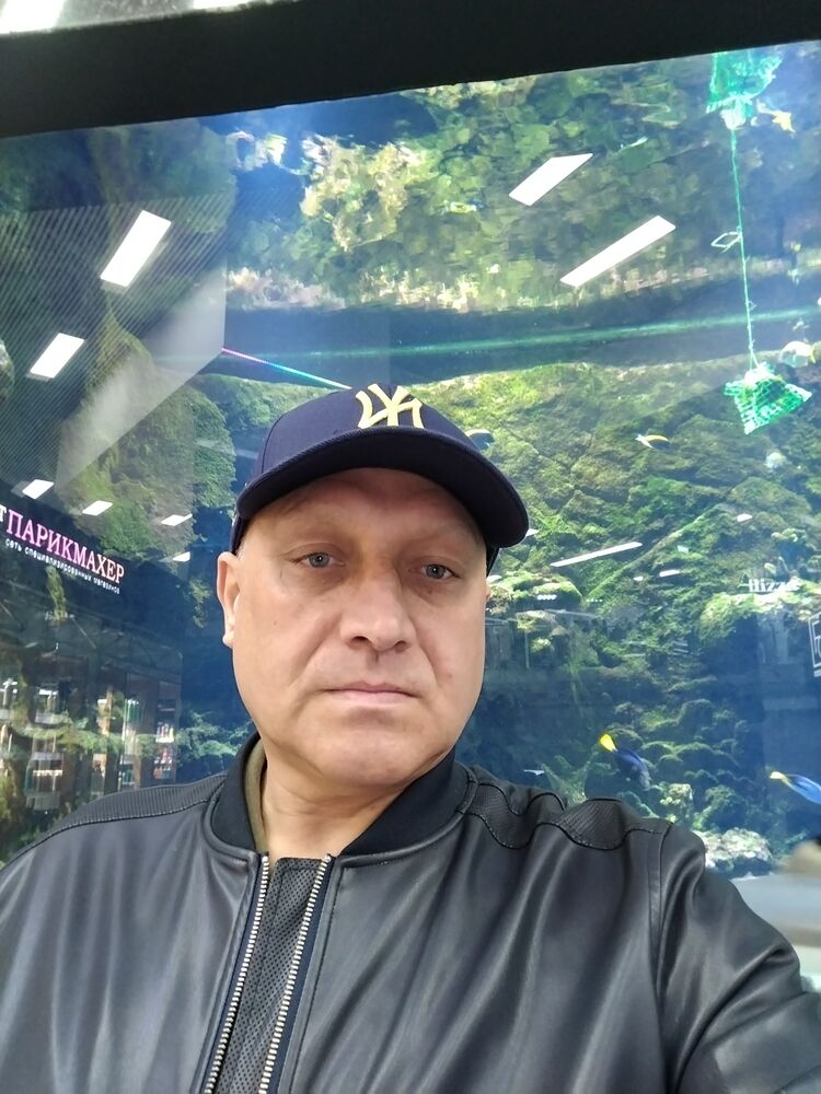  53570243  , 43 ,    