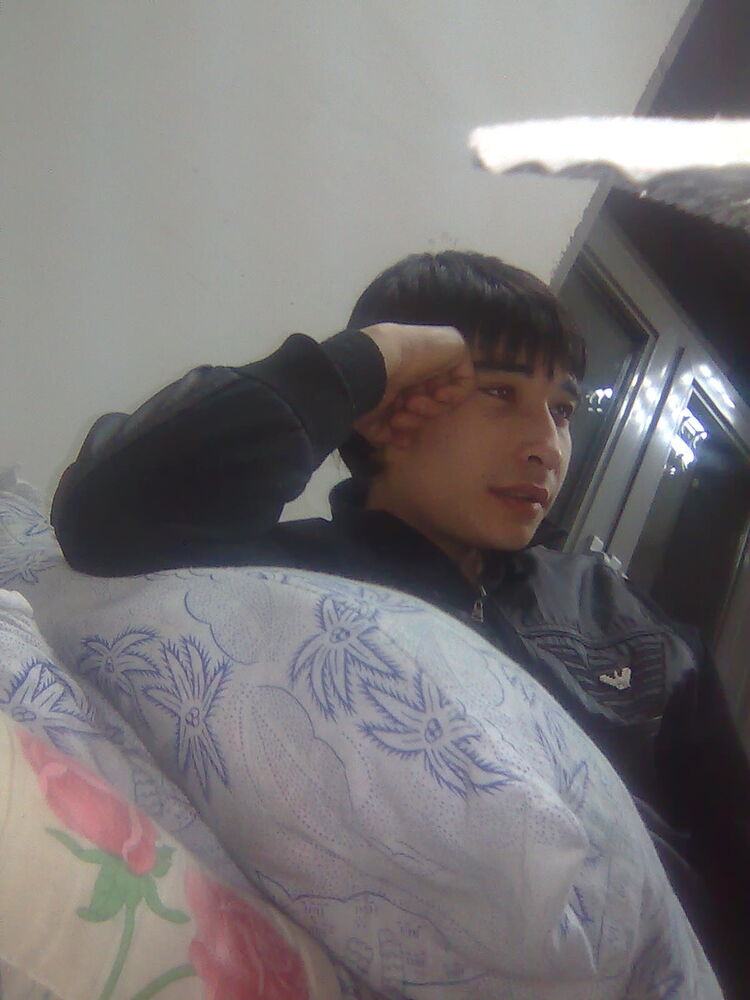 ���� 5382043 ������� BOXODIR, 36 ���, ���� ���������� � ��������