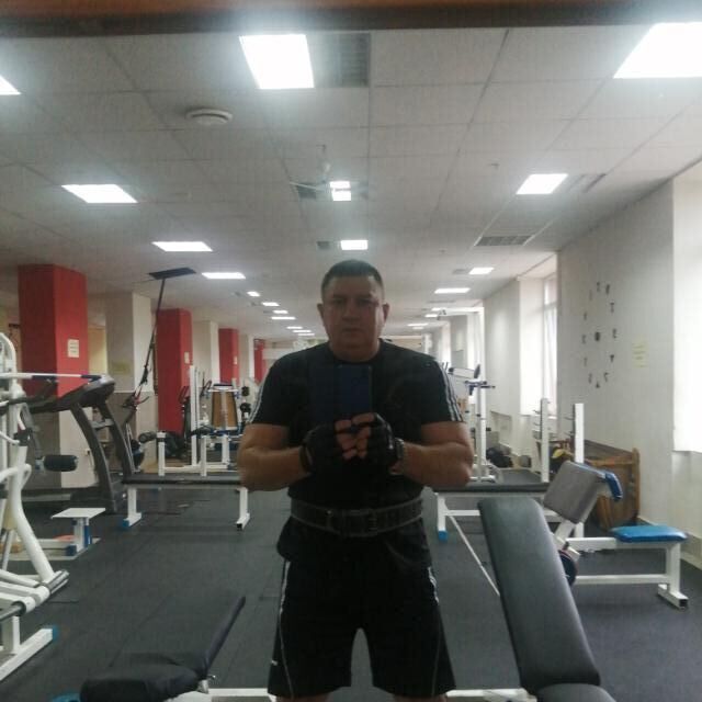 ���� 51981393 ������� �����, 46 ���, ���� ���������� � ���������������