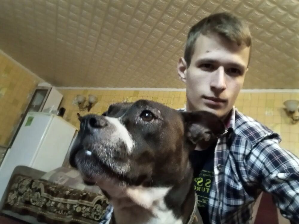 ���� 27314773 ����� �����, 24 ����, ���� ���������� � ������