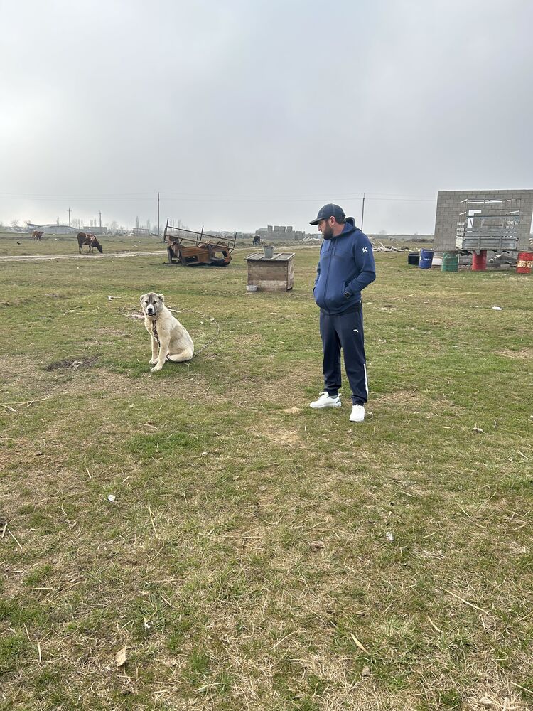 ���� 42958893 ������� ��������, 43 ����, ���� ���������� � ������