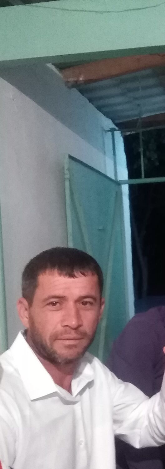 ���� 31885423 ������� �����, 42 ����, ���� ���������� � �������