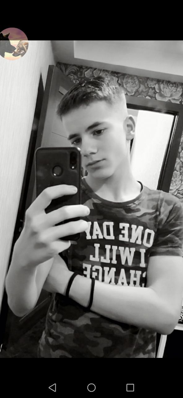 ���� 23476193 ����� Wolf, 23 ����, ���� ���������� � �����