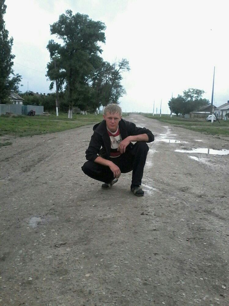  49161603  , 31 ,    