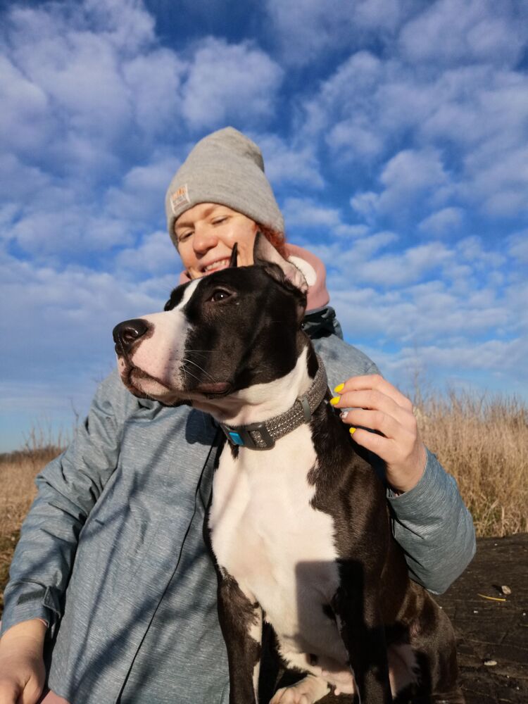 ���������� ���������, ���� ������� ����, 45 ���, ������������ ��� ������, c�������� ���������, ���������