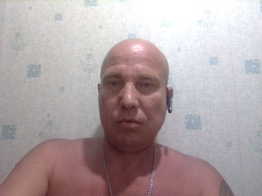  53605913  , 41 ,    