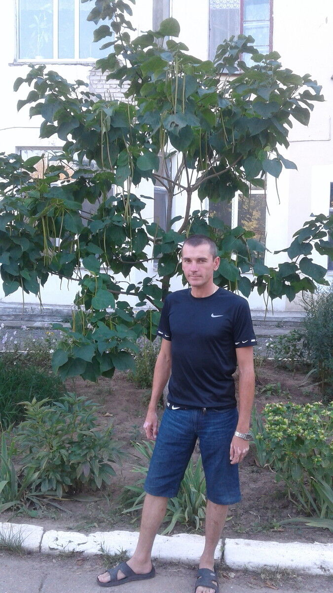  10977993  , 45 ,    -