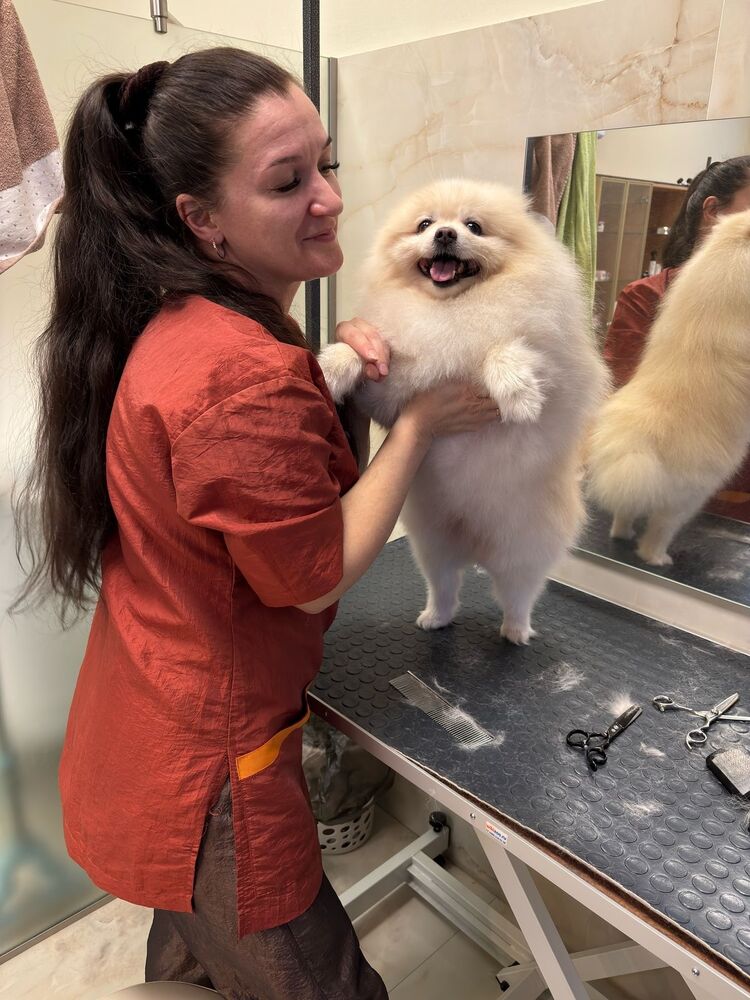  54026683  , 42 ,    -