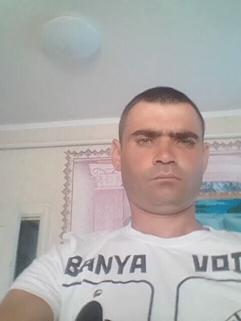  54172793  , 38 ,    --