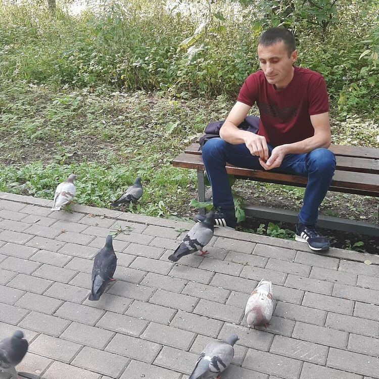  27653193  , 42 ,    --