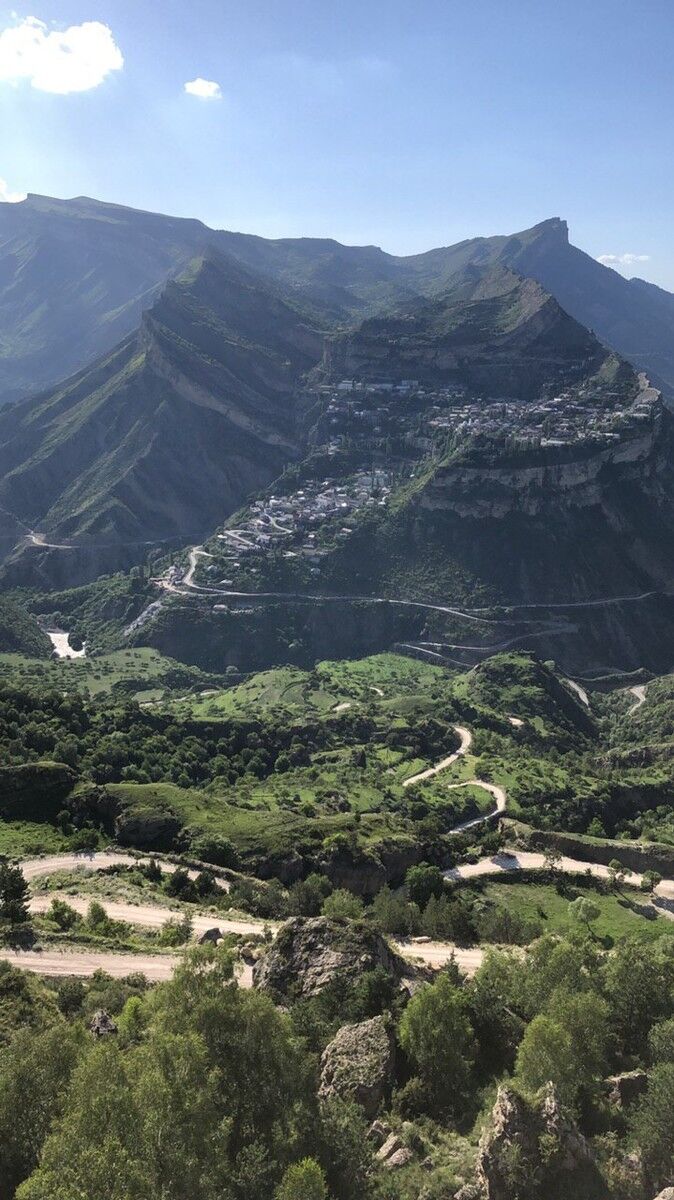 ���� 16820633 ������� ���������, 28 ���, ���� ���������� � ���������