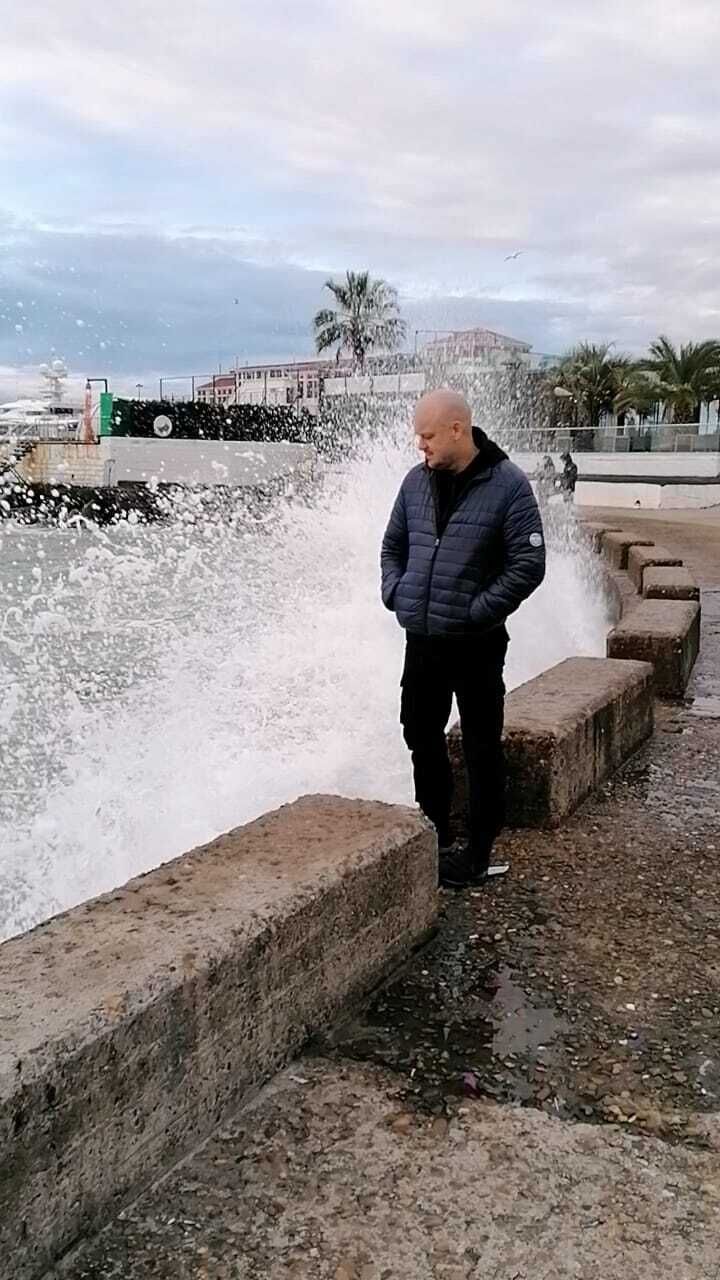  50649323  , 51 ,    --
