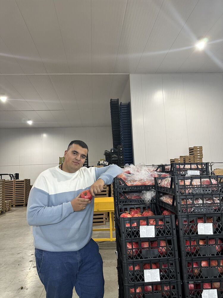  48586713  , 24 ,    