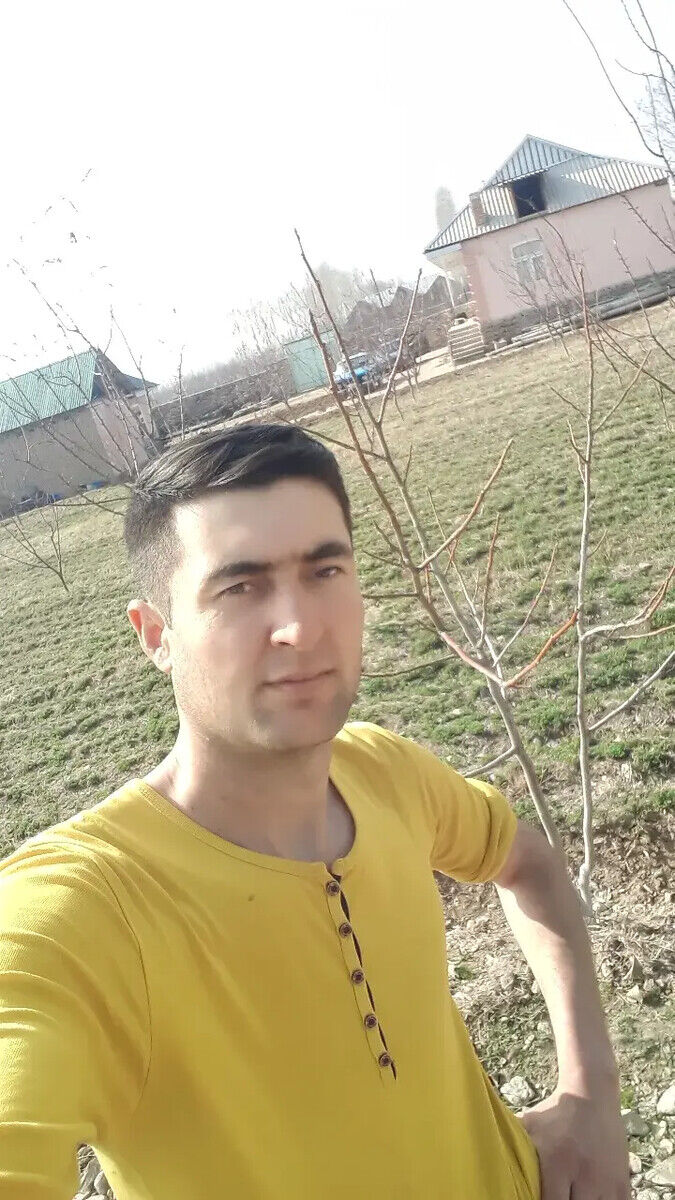  20828533  , 31 ,    