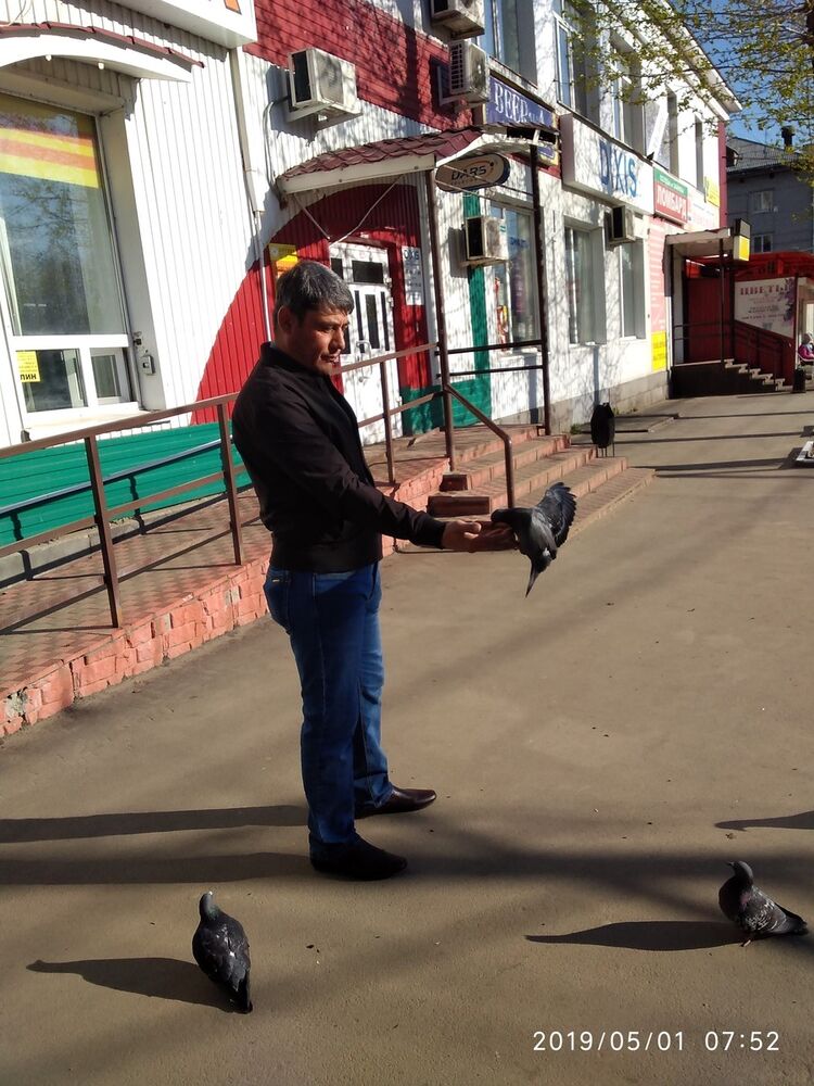 ���� 15986543 ������� ������, 49 ���, ���� ���������� � ����������