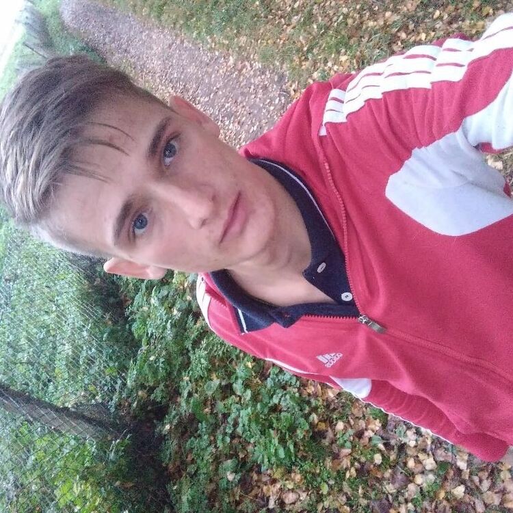  36516003  , 27 ,    