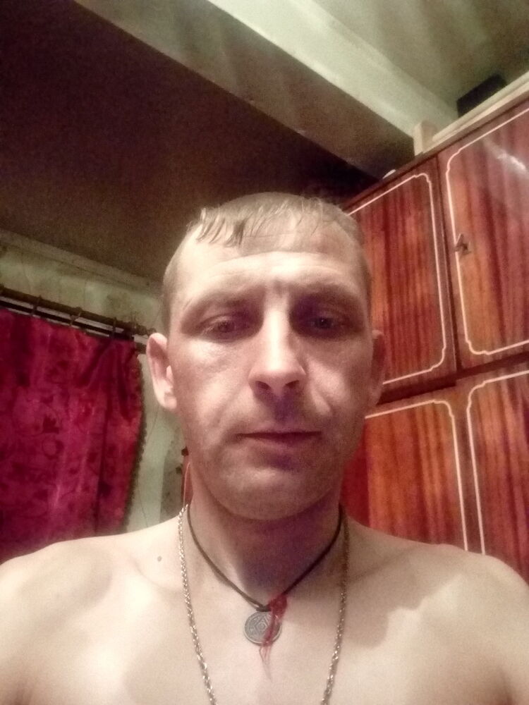  15316253  , 41 ,    