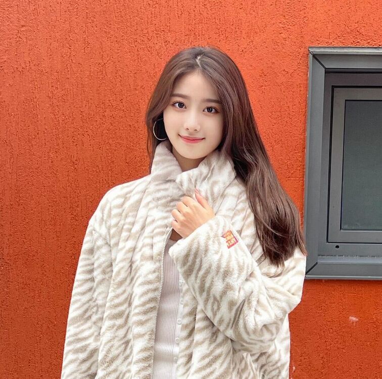 ���� 33000923 ������� Lina, 35 ���, ���� ���������� � ������