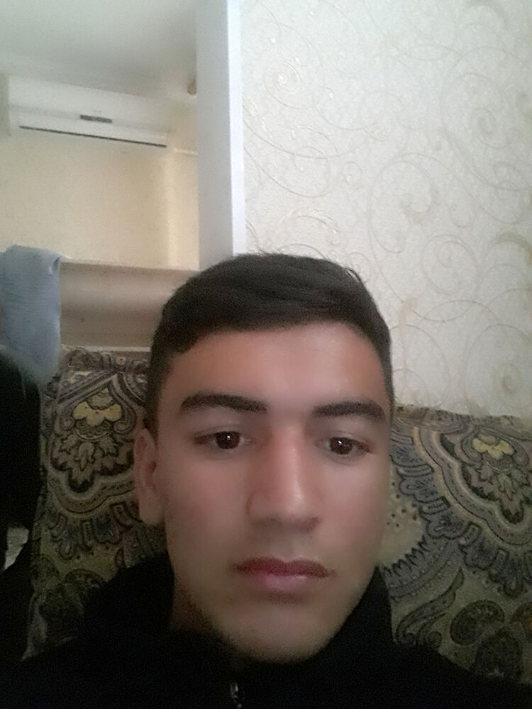  23583183  , 22 ,    