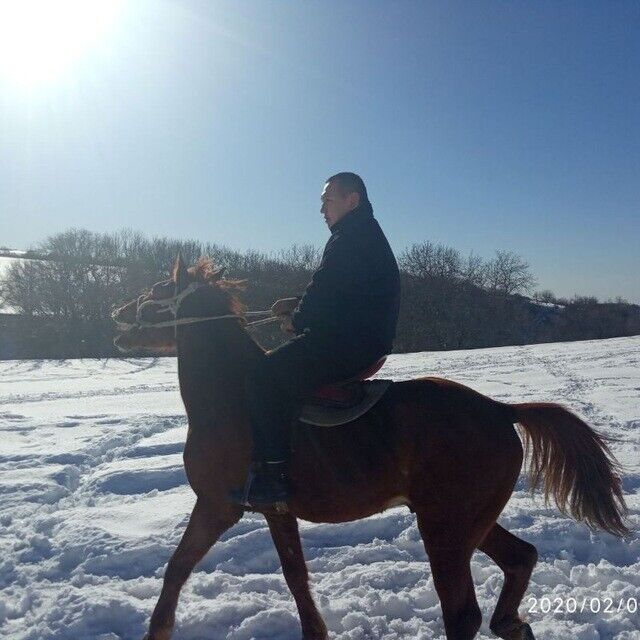 ���������� �������, ���� ������� ������, 35 ���, ������������ 