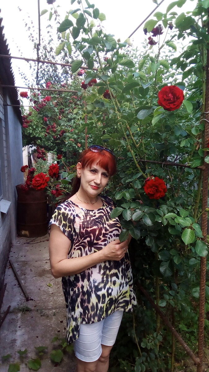  ,   , 56 ,     , c 