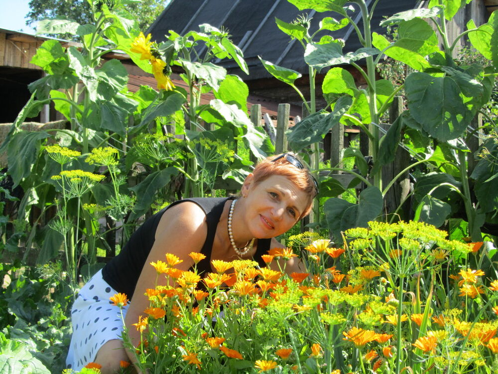 ���������� �����, ���� ������� �������, 58 ���, ������������ ��� ������, ����� � ���������, c�������� ���������